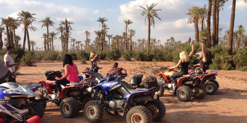 Balade en Quad + Dromadaire à la Palmeraie de Marrakech - ½Journée